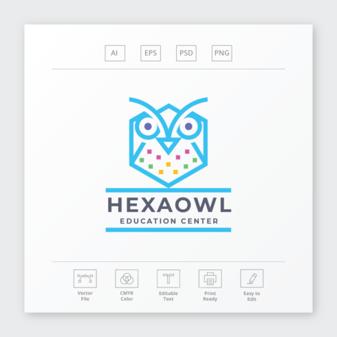 Hexa Owl Logo cover image.