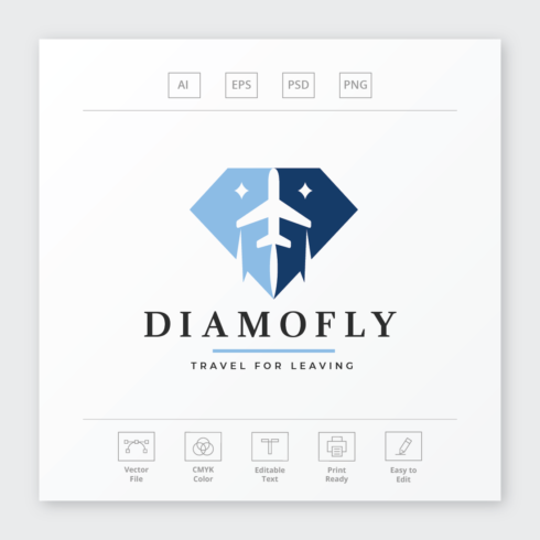 Diamond Fly Travel Logo cover image.