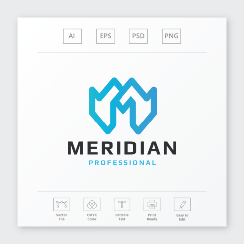 Meridian Letter M Logo cover image.