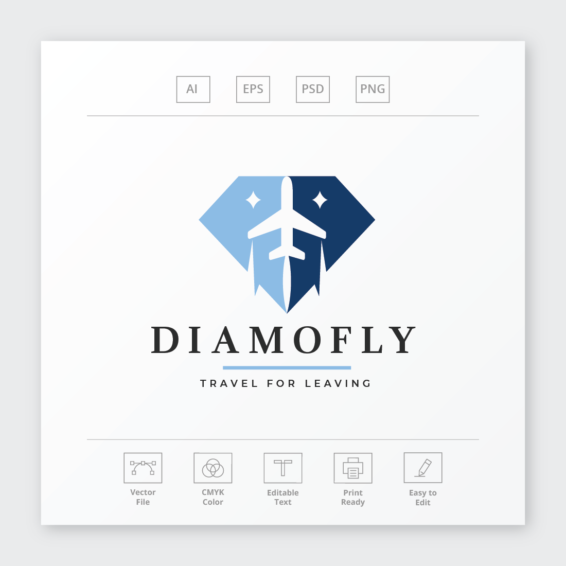 Diamond Fly Travel Logo preview image.