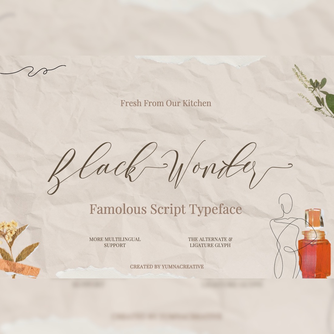 Black Wonder - Script Font preview image.