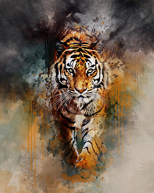 tiger 03 a 681