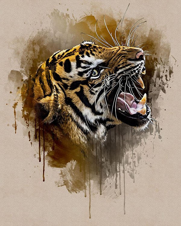 tiger 05 a 367
