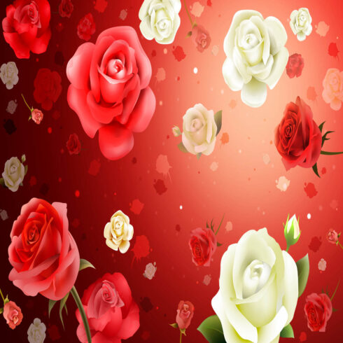 Roses - Background- psd cover image.