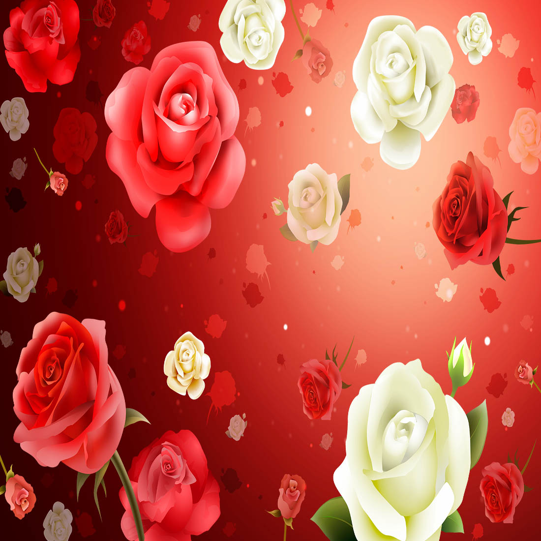 Roses - Background- psd preview image.