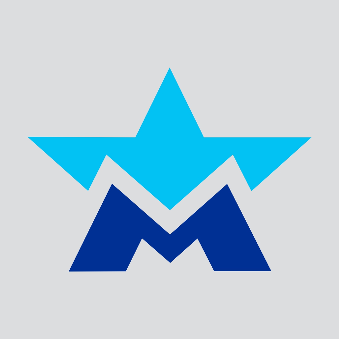 Corporate Letter M Star Logo cover image.