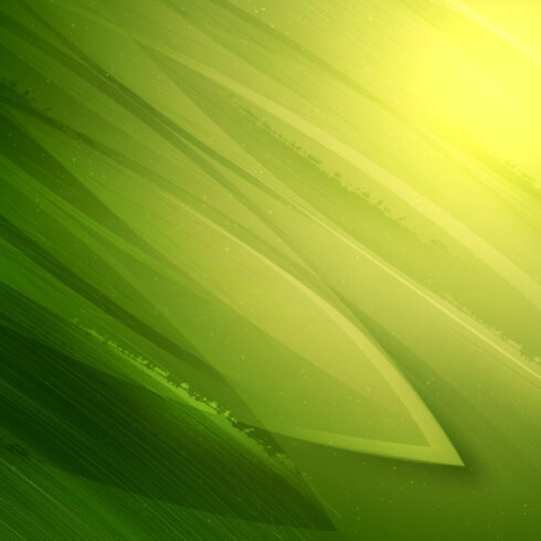 Green Leaves Abstract Backgrounds cover image.