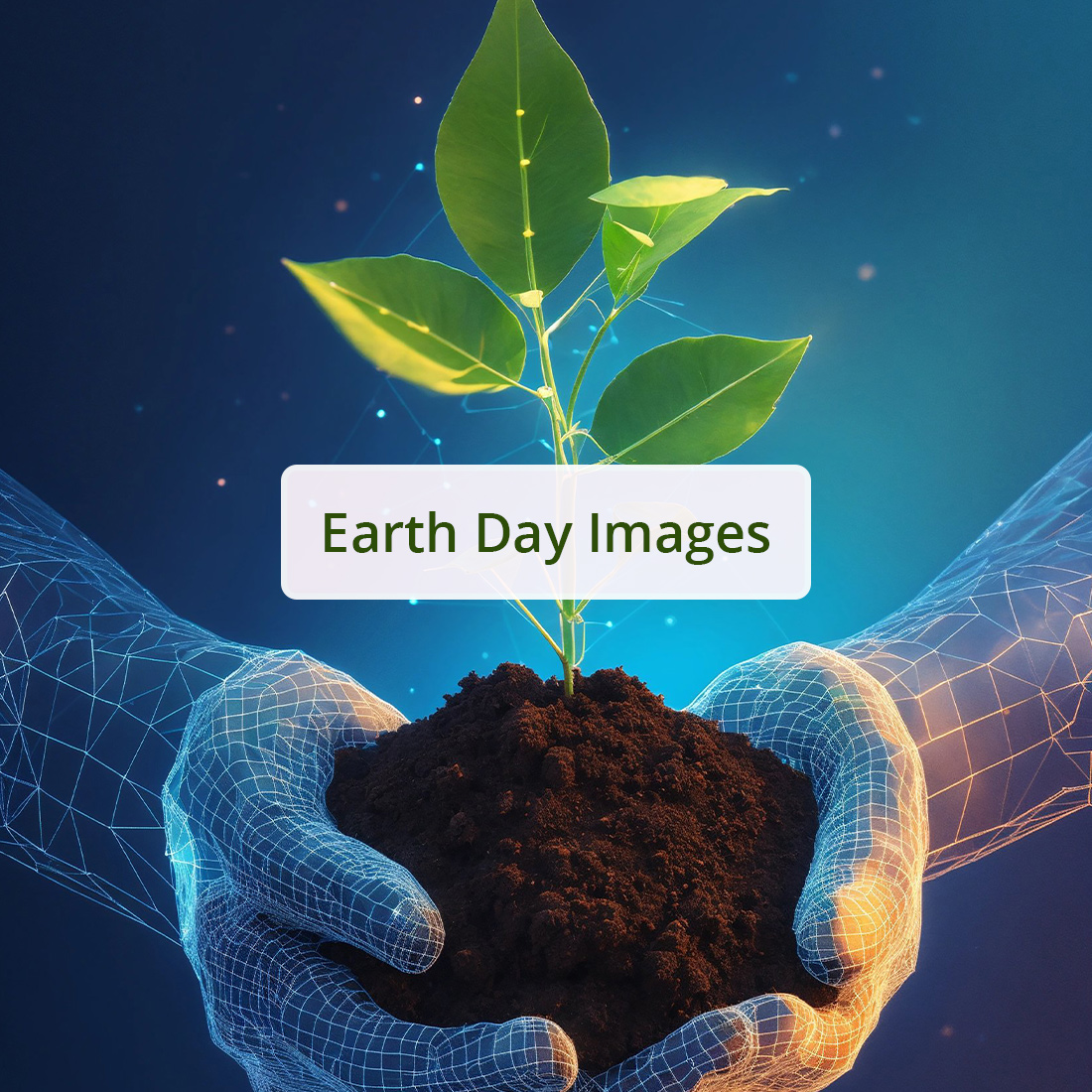 Earth day images, World environment day cover image.