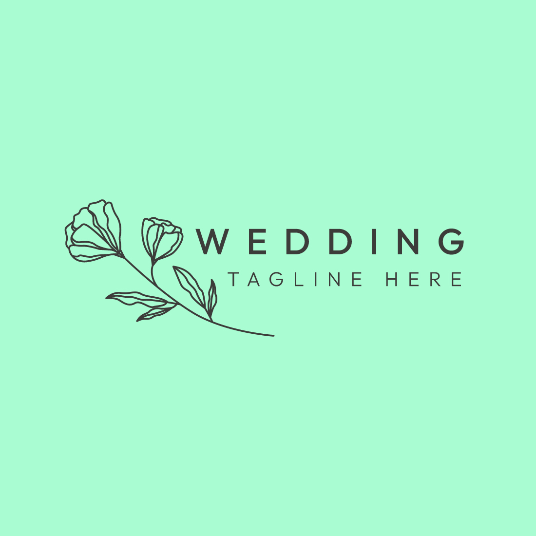 Minimalist Beauty and Wedding Logo Design Bundle | Master Bundle preview image.