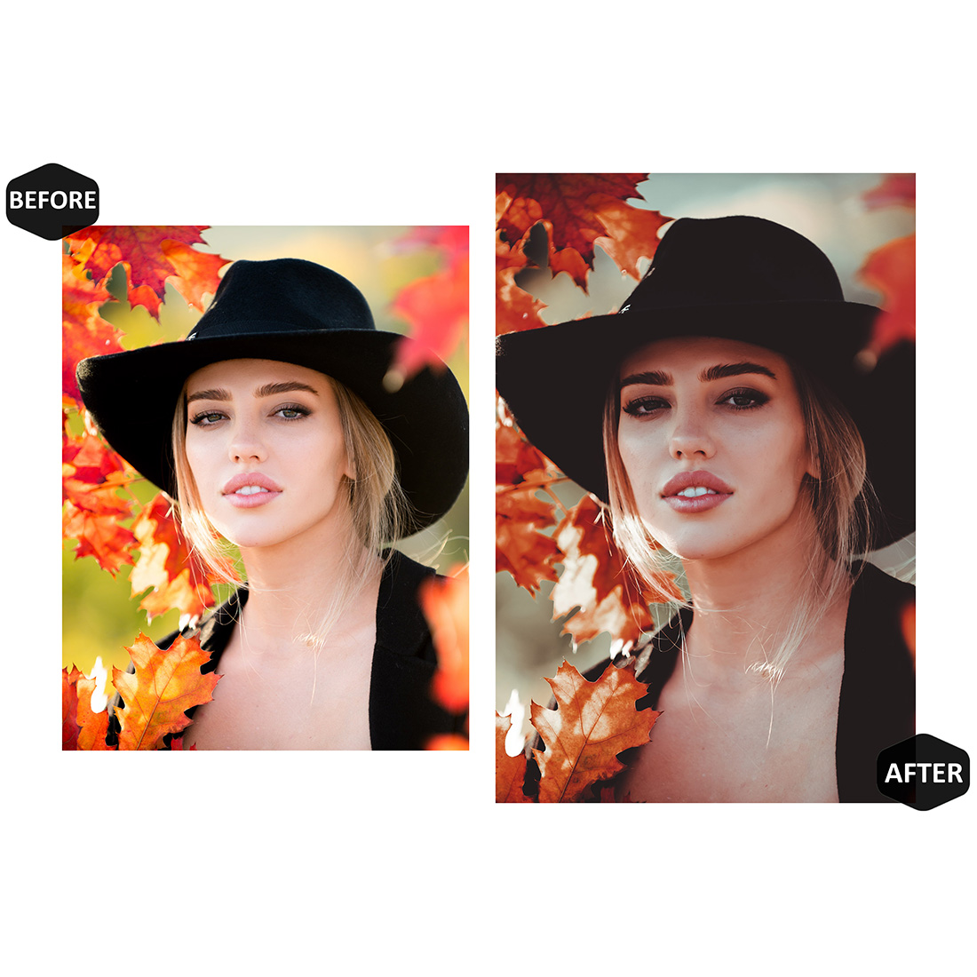 12 Photoshop Actions, Cinnamon Sticks Ps Action, Autumn Leaf ACR Preset, Fall Moody Ps Filter, Portrait And Lifestyle Theme For Instagram, Blogger preview image.