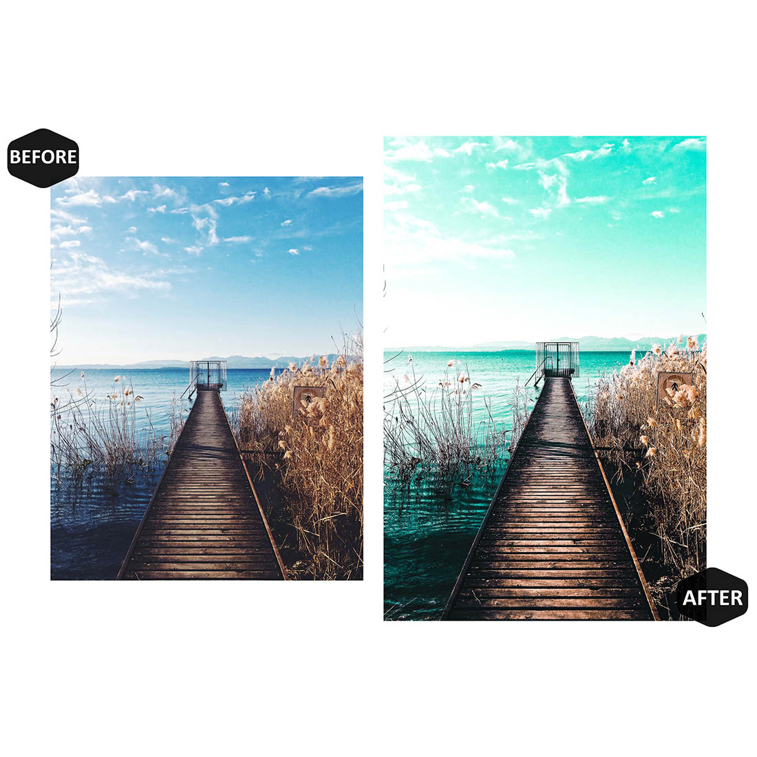 12 Photoshop Actions, Nature's Lover Ps Action, Landscape ACR Preset, Scenery Ps Filter, Atn Portrait And Lifestyle Theme For Instagram, Blogger preview image.