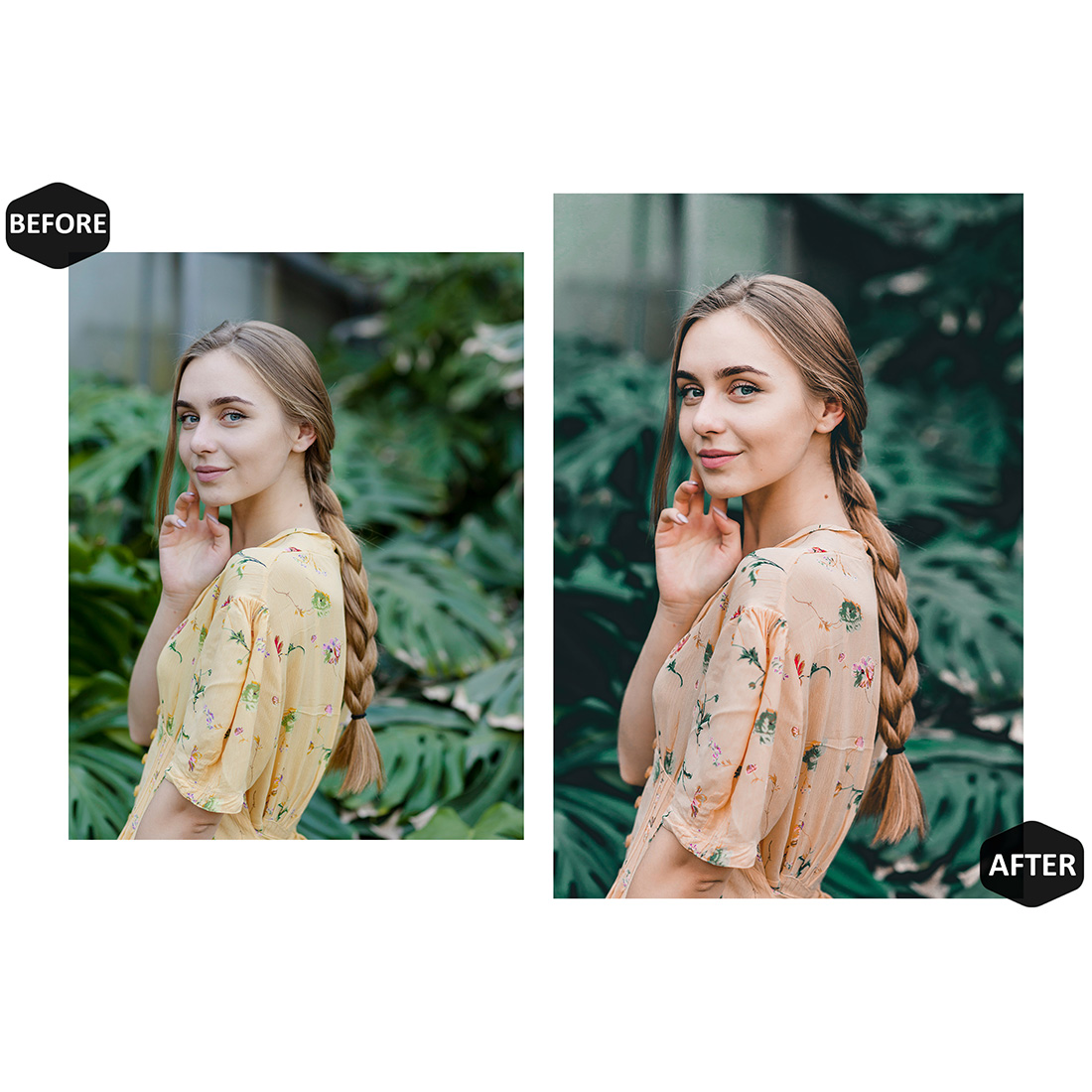 12 Photoshop Actions, Jungle Adventure Ps Action, Forest Moody ACR Preset, Travel Woman Ps Filter, Atn Portrait And Lifestyle Theme For Instagram, Blogger preview image.