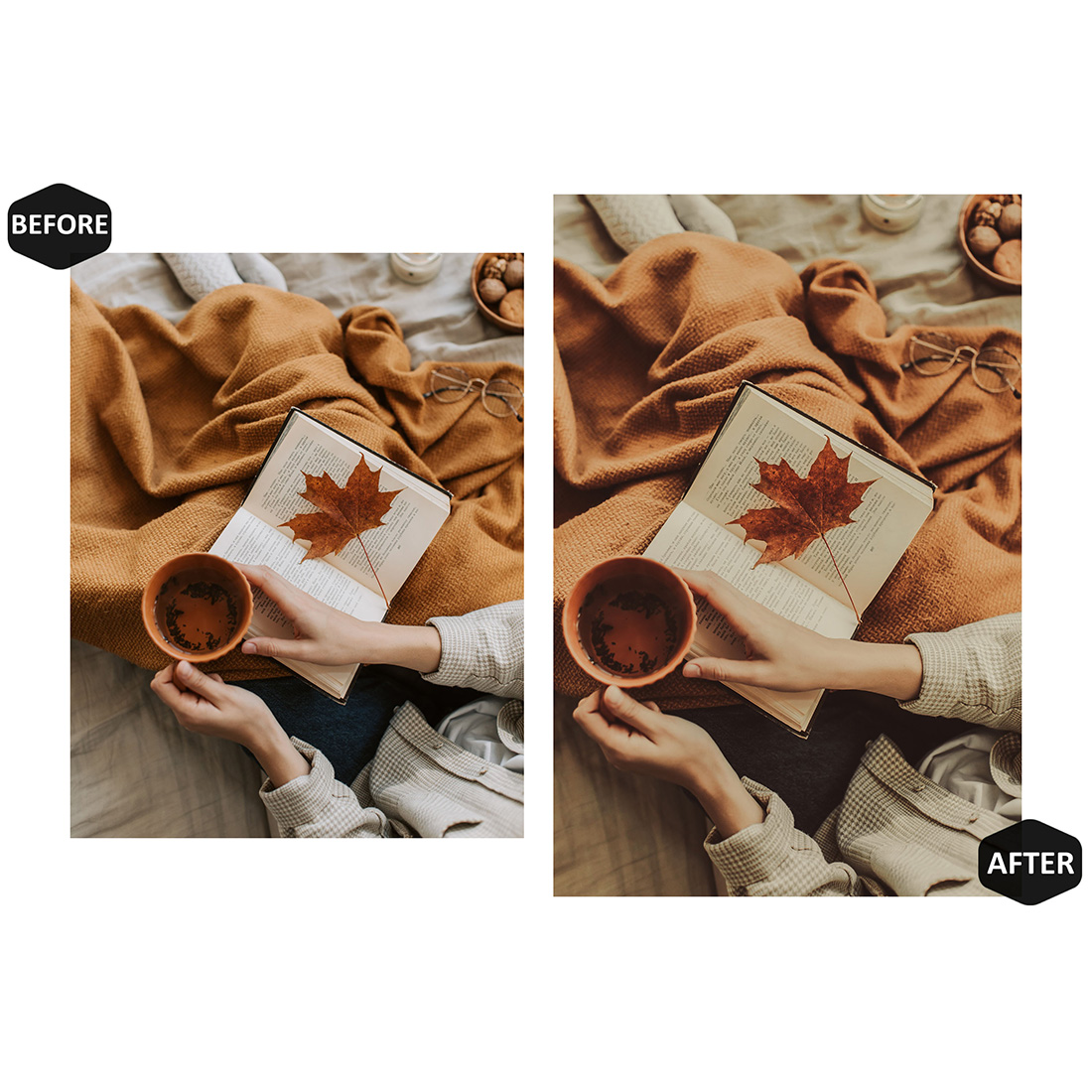12 Photoshop Actions, Colder But Happier Ps Action, Autumn Bright ACR Preset, Warm Fall Ps Filter, Atn Portrait And Lifestyle Theme For Instagram, Blogger preview image.