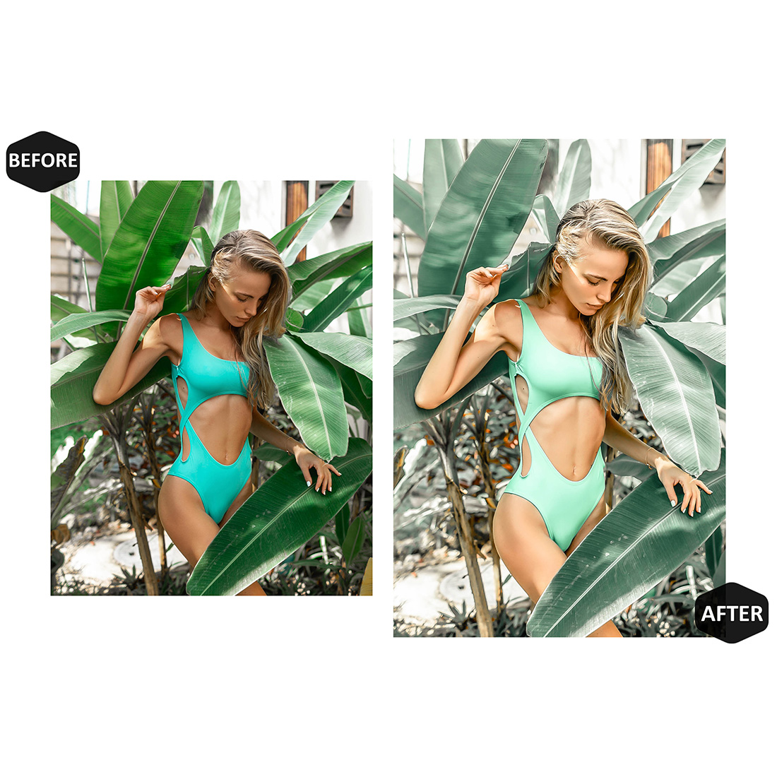 12 Photoshop Actions, Tropical Beyond Ps Action, Landscape ACR Preset, Beach Ps Filter, Portrait And Lifestyle Theme For Instagram, Blogger preview image.