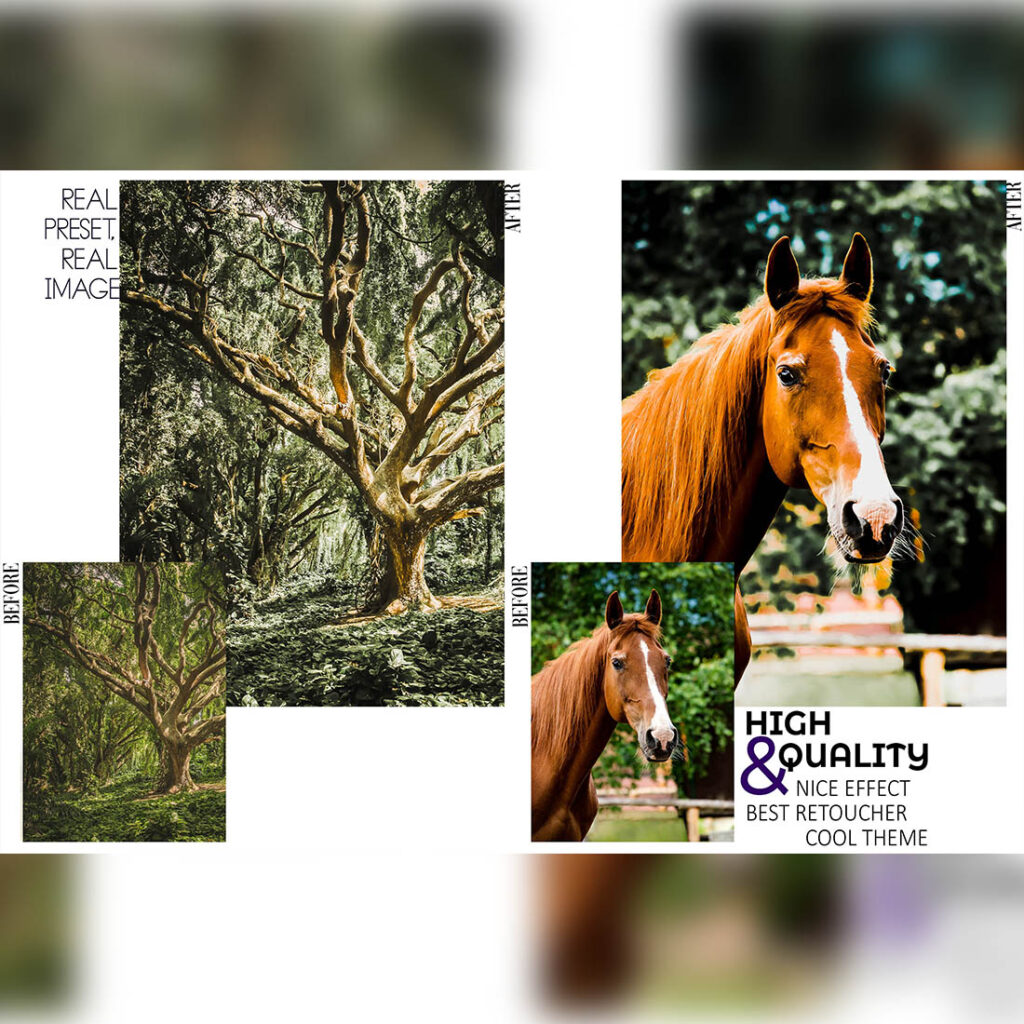 12 Evergreen, Deep Jungle Ps Action, Moody ACR Preset, Green Ps Filter ...