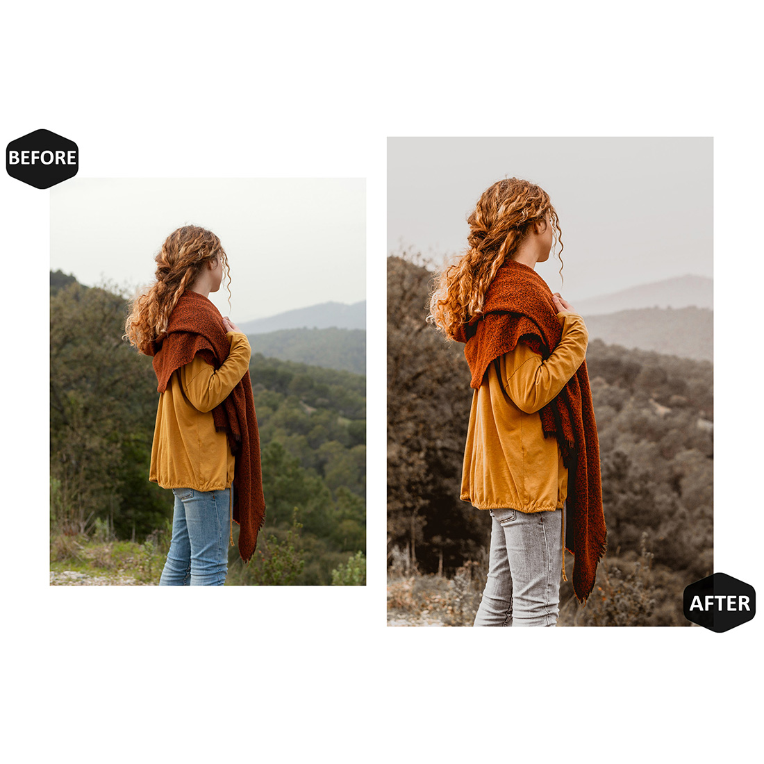 12 Photoshop Actions, Smoggy Jungle Ps Action, Foggy ACR Preset, Forest Moody Ps Filter, Atn Portrait And Lifestyle Theme For Instagram, Blogger preview image.