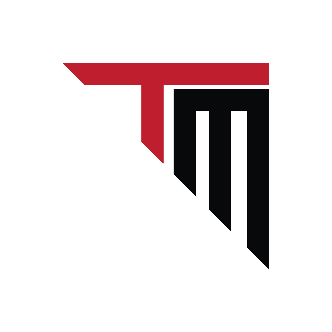 Initials TM logo design TM letters logo design vector template images design MT logo black and red color best company identity preview image.