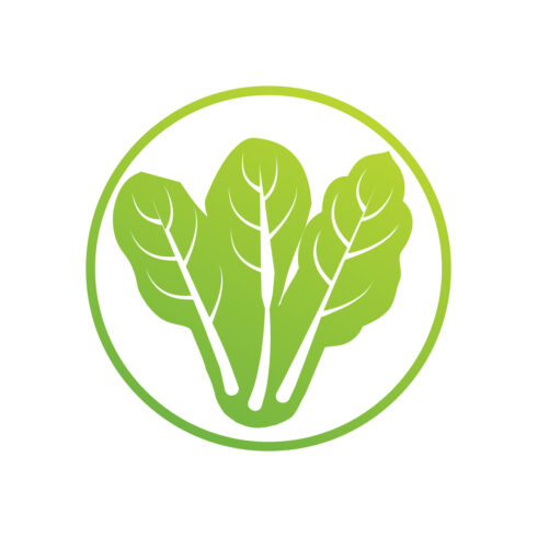 Green Vegetable logo design vector images Green leaf logo icon circle logo cover image.