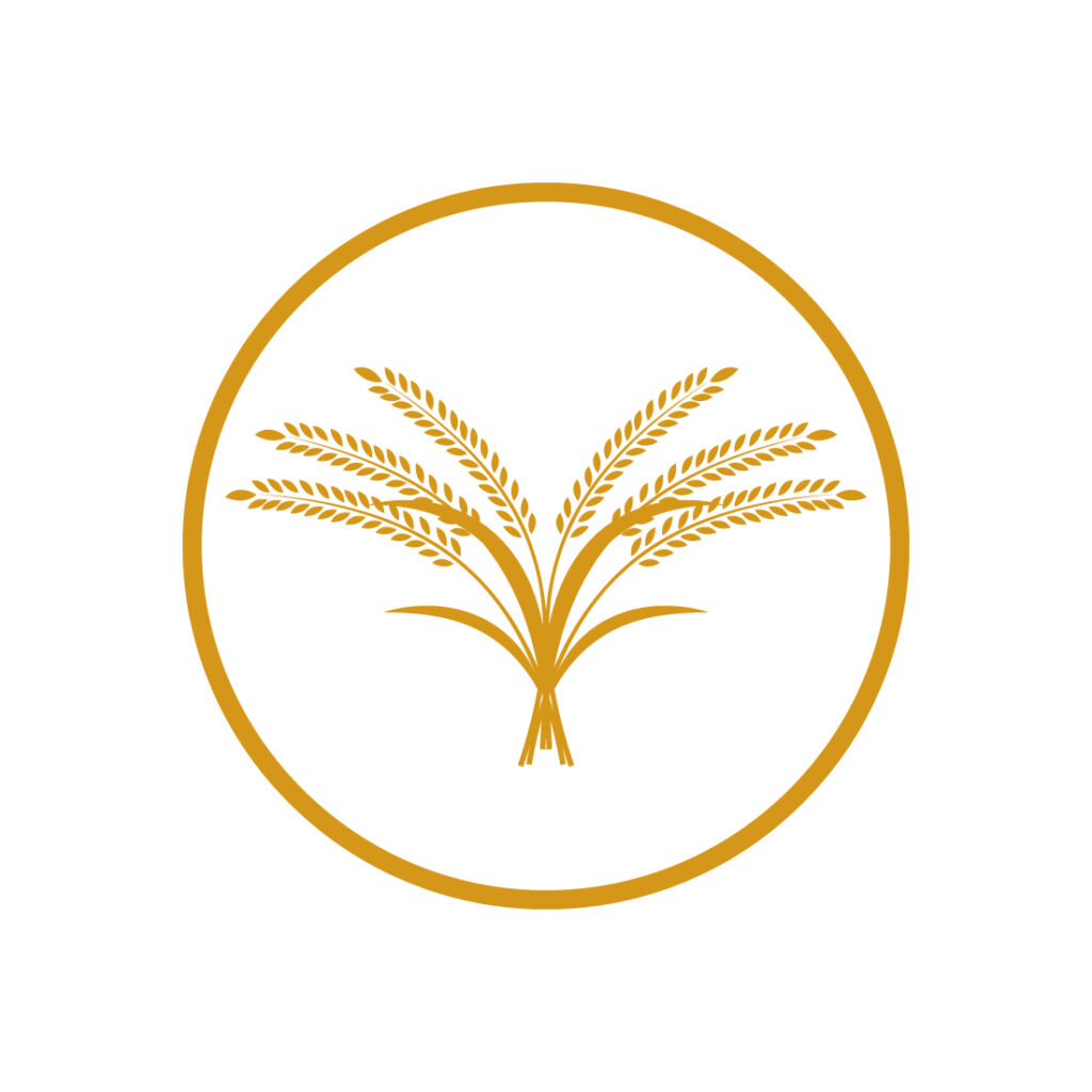 Agriculture Wheat rice food logo design. Paddy logo design vector icon ...
