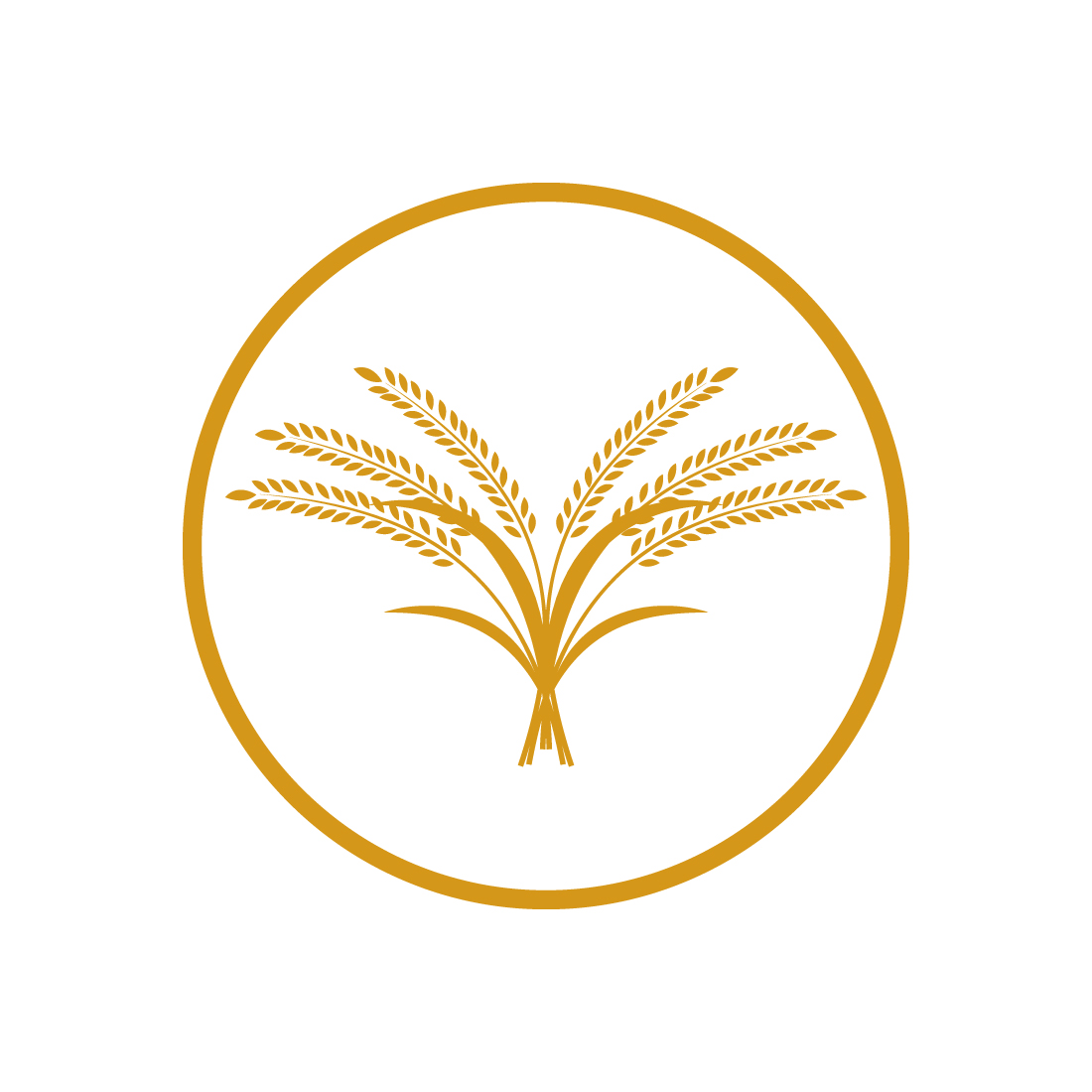 Agriculture Wheat rice food logo design Paddy logo design vector icon Rice farming logo template illustration preview image.