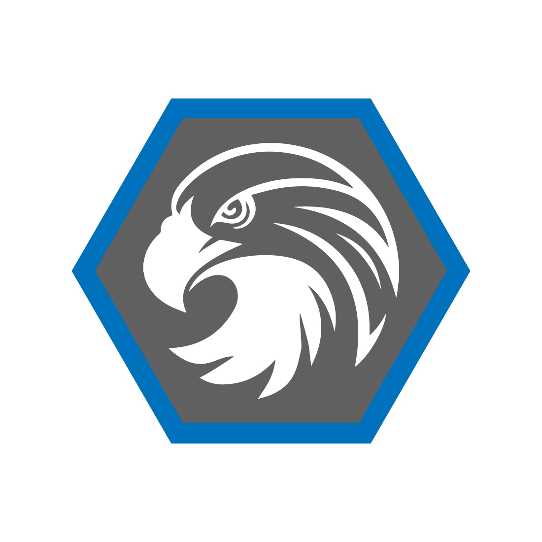 Eagle Bird Logo design vector images Luxury Bird logo design template icon Eagle Bird Face logo monogram best icon preview image.