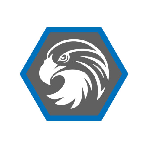 Eagle Bird Logo design vector images Luxury Bird logo design template icon Eagle Bird Face logo monogram best icon cover image.