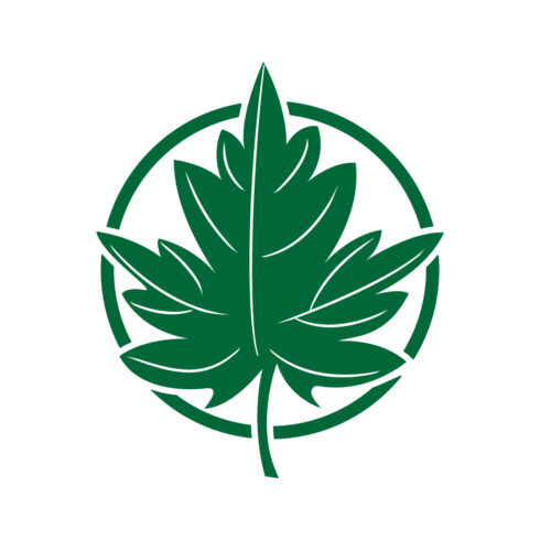 Green Leaf logo design vector images Green Vegetable logo design template icon Green Leaf circle logo best monogram identity cover image.