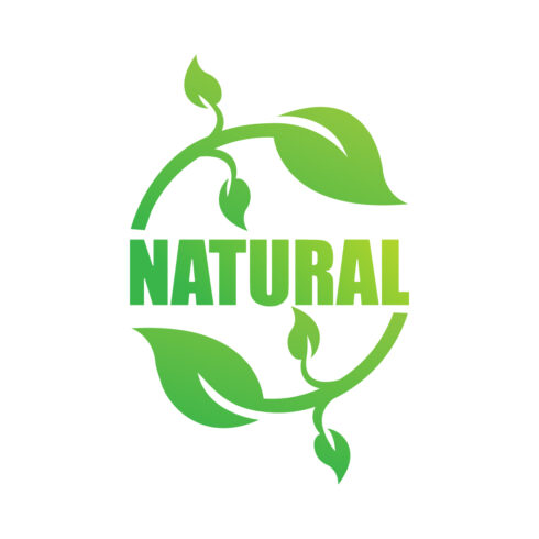Natural leaf logo design vector icon Green leaf logo best icon Natural Food logo template arts Green Vegetable logo monogram illustration cover image.