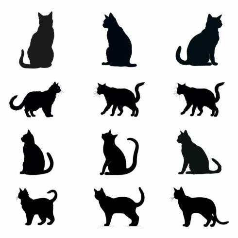 Cute Cat animal vector, Cat silhouettes and icons logo cover image.