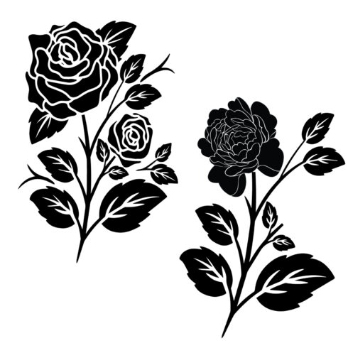 Hand drawn rose silhouette cover image.