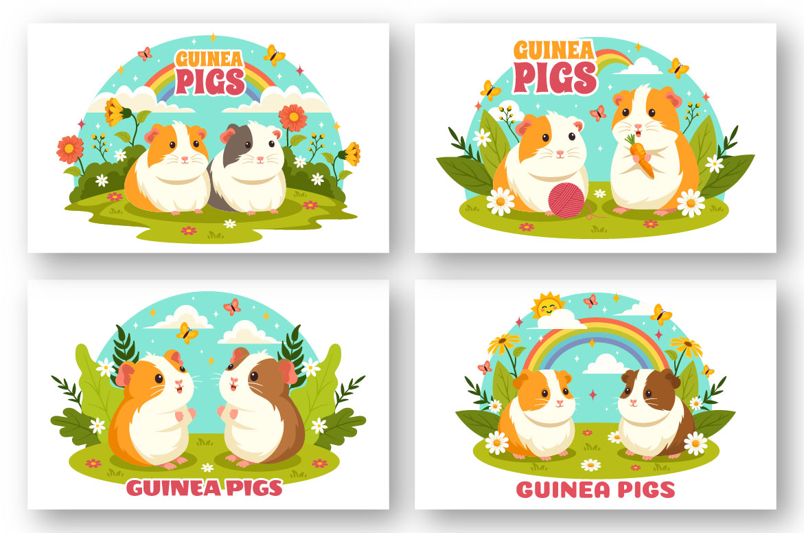 guinea pig 02 873