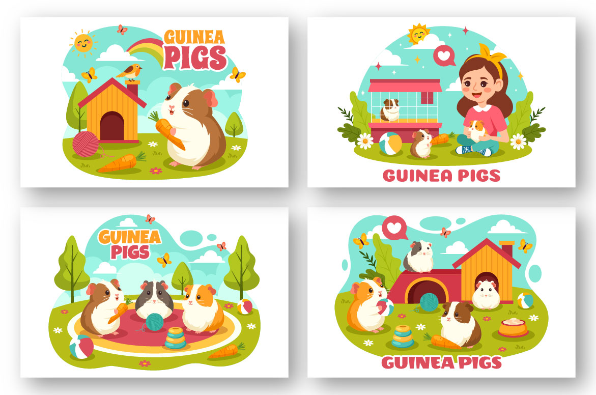 guinea pig 03 884