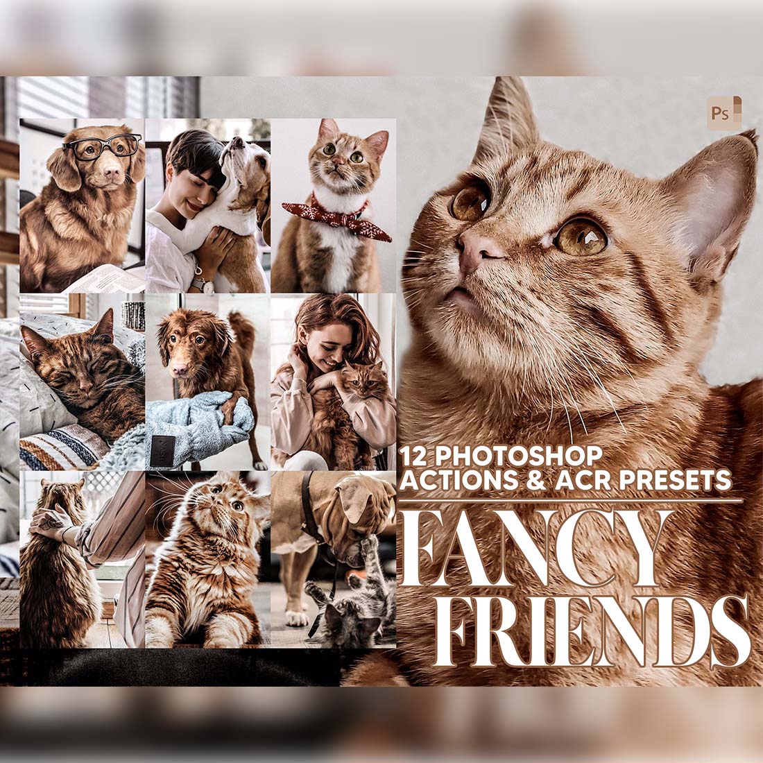 12 Photoshop Actions, Fancy Friends Ps Action, Animal ACR Preset, Doggie Ps Filter, Atn Portrait And Lifestyle Theme For Instagram, Blogger cover image.