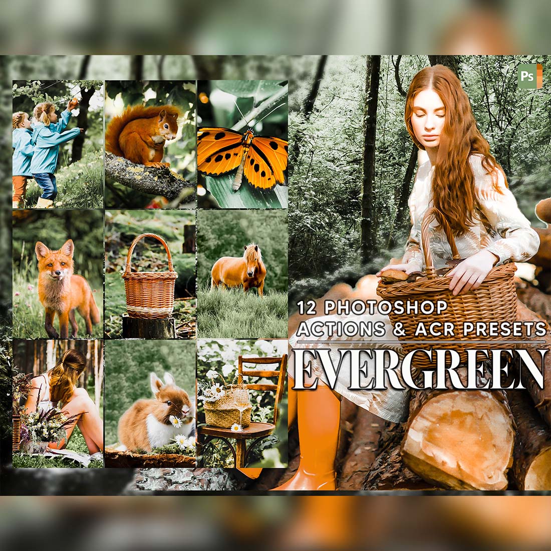 12 Evergreen, Deep Jungle Ps Action, Moody ACR Preset, Green Ps Filter, Landscape Portrait And Lifestyle Theme For Instagram, Blogger cover image.