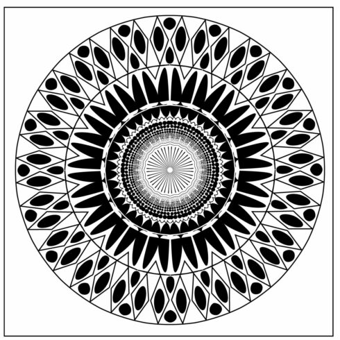 Mandala art with black white in babbles cover image.