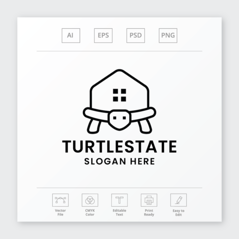 Turtle Real Estate Logo cover image.