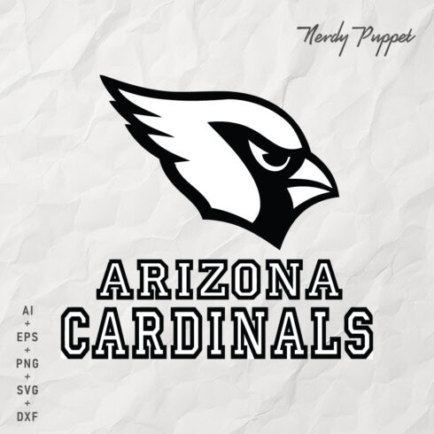 Arizona Cardinals 08 cover image.