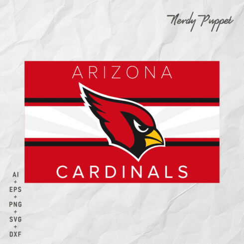 Arizona Cardinals 06 cover image.