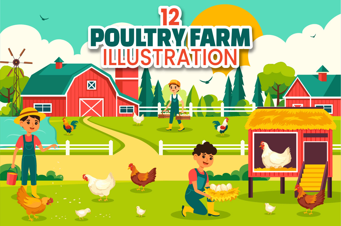 poultry farm 01 344