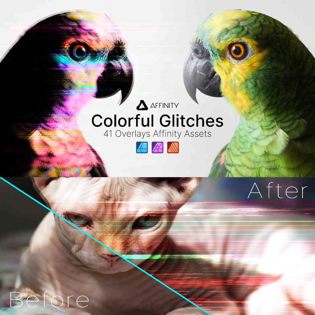 Affinity Photo, Designer & Publisher Add-ons Colorful Glitches Assets preview image.