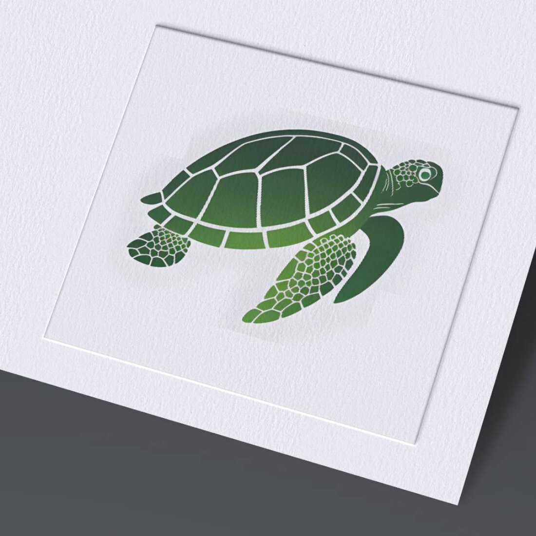 turtlemoc11 814