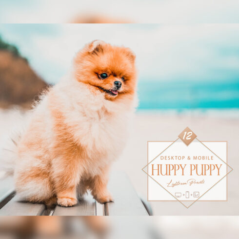 12 Huppy Puppy Lightroom Presets, Pet Presets, Bright Desktop LR Filter, DNG Portrait Lifestyle, Top Theme, Valentine Blogger Instagram cover image.