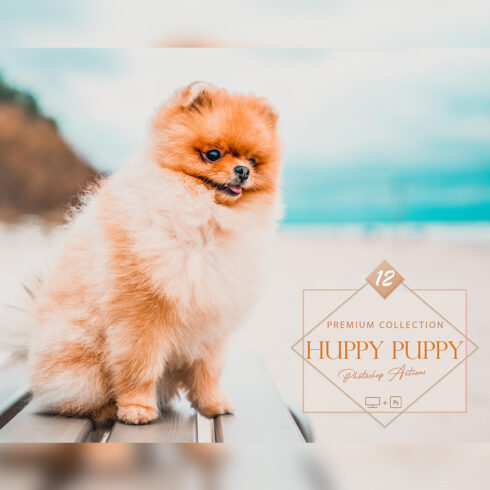 12 Huppy Puppy Photoshop Actions, Pet ACR Preset, Bright Ps Filter, Portrait And Lifestyle Theme For Instagram, Blogger, Outdoor cover image.