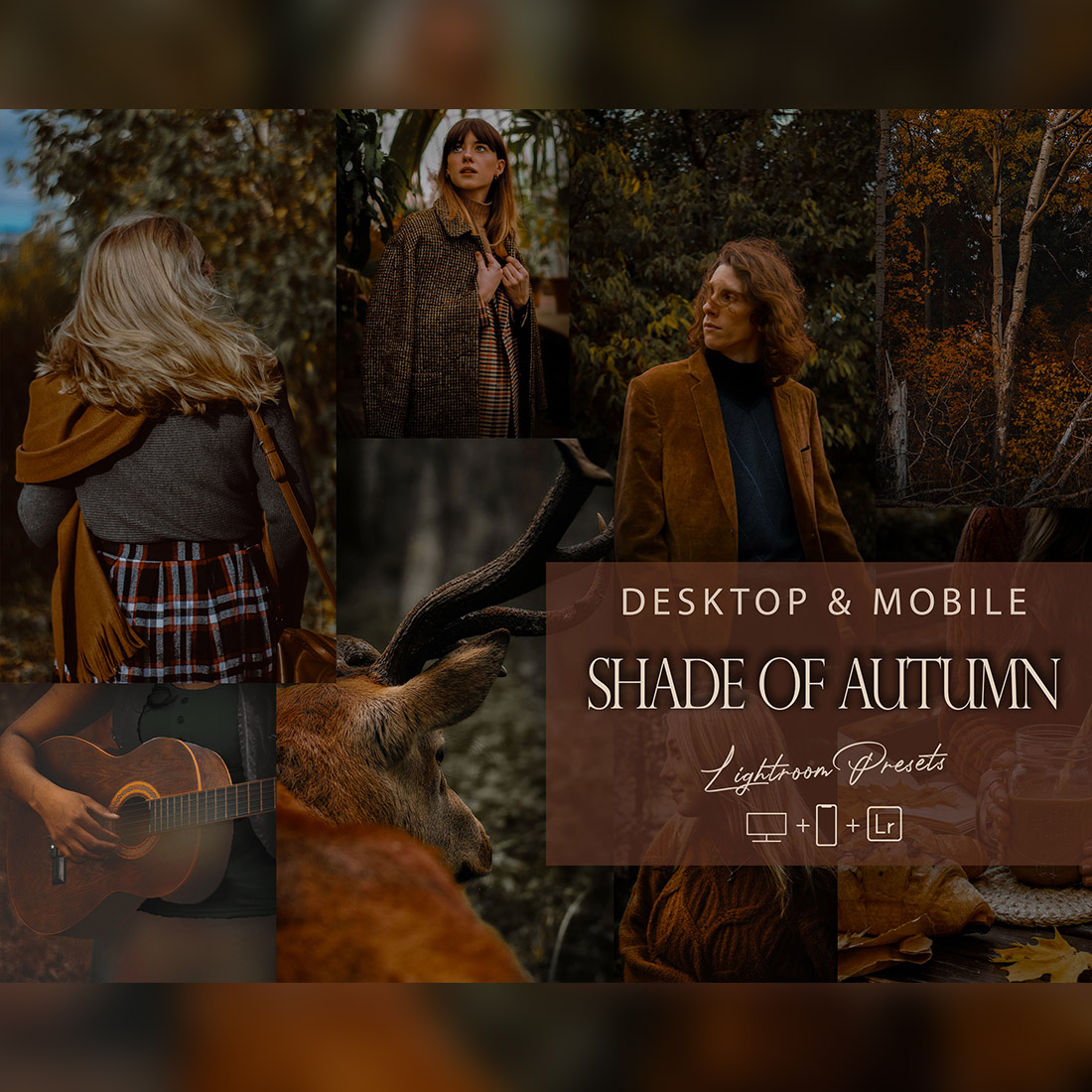 12 Shade Of Autumn Lightroom Presets, Brown Tone Preset, Trendy Desktop LR Filter, DNG Portrait Lifestyle, Top Theme, Blogger Instagram cover image.