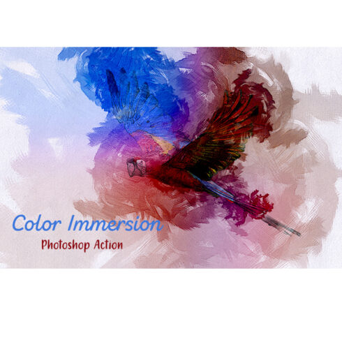 Color Immersion Photoshop Action cover image.