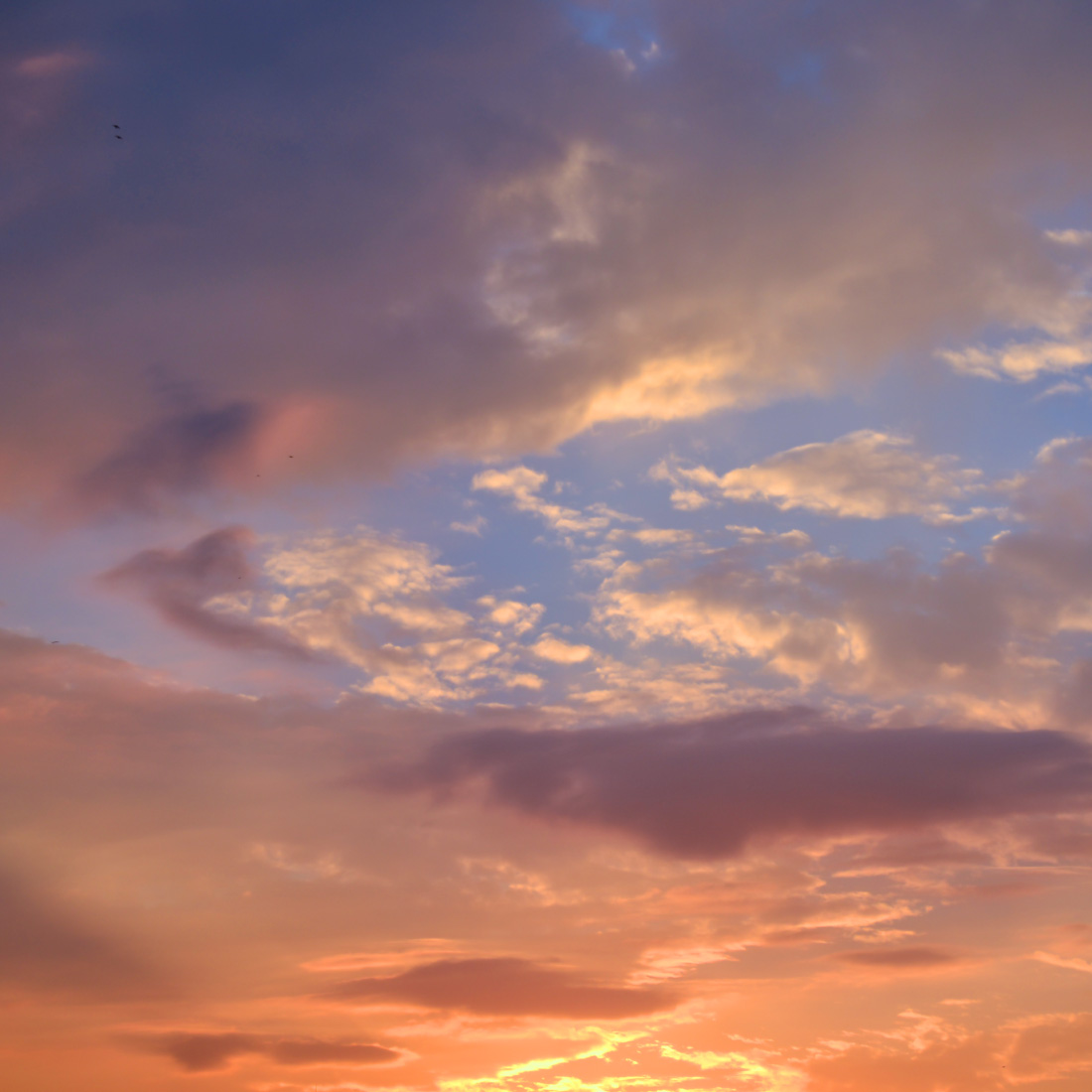 Sunset Sky Backgrounds preview image.