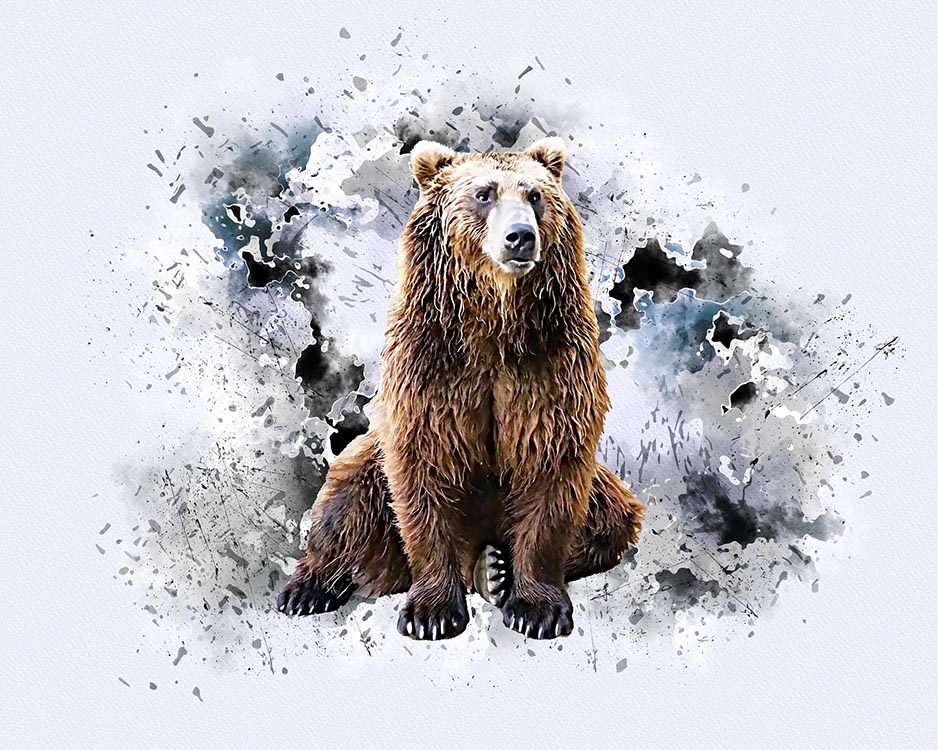 bear 01 b 678