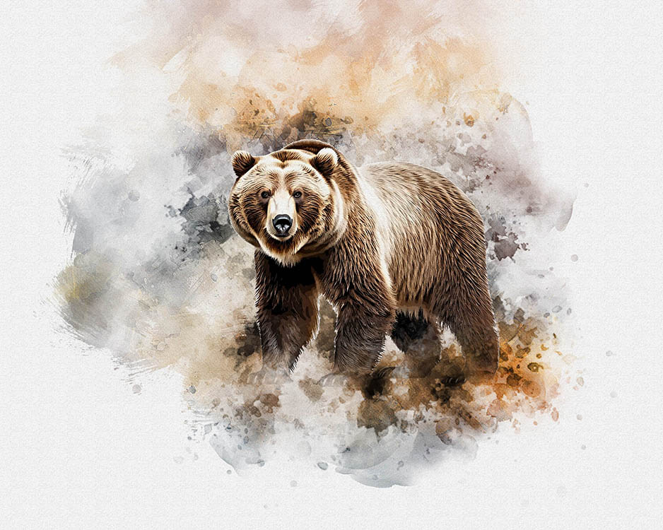 bear 09 a 832