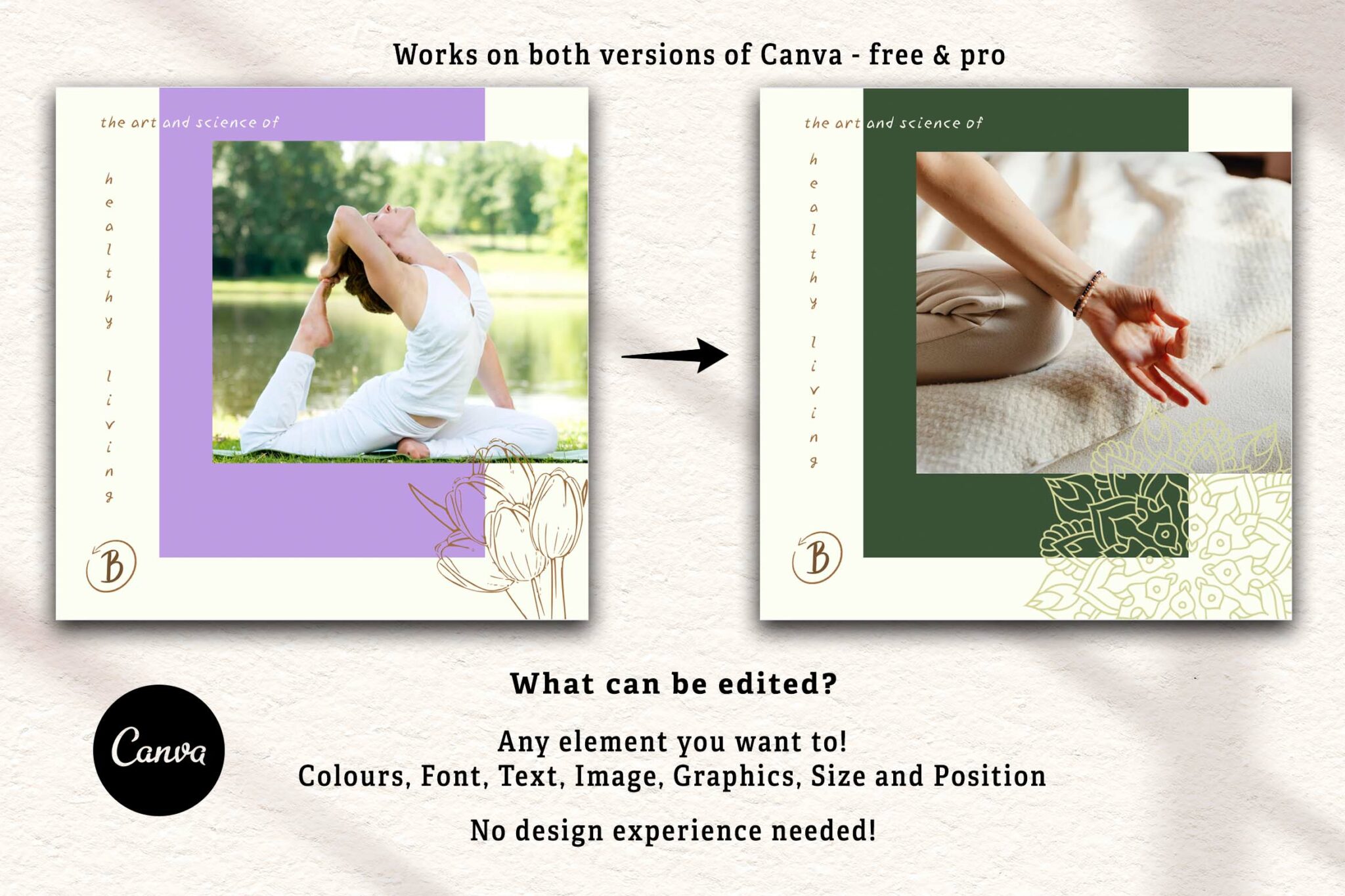 Yoga Instagram Posts Canva Templates - MasterBundles