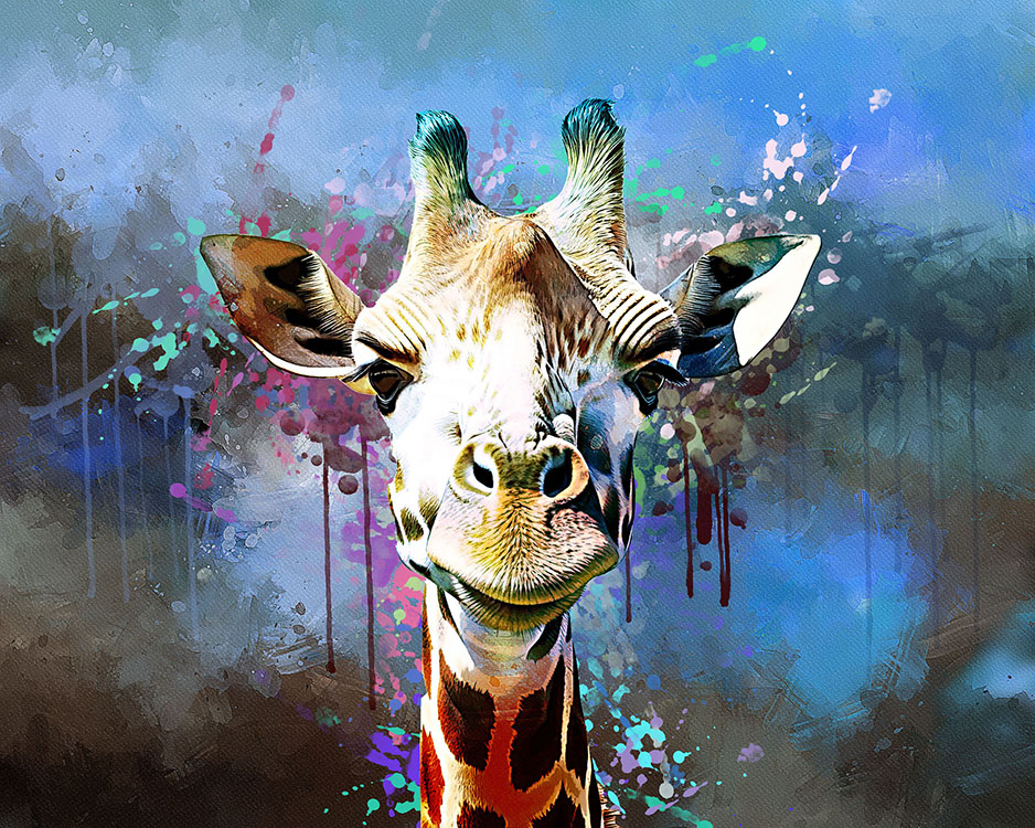 giraffe 04 a 809